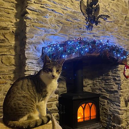 Five Saints Farmhouse B&B Pumpsaint エクステリア 写真