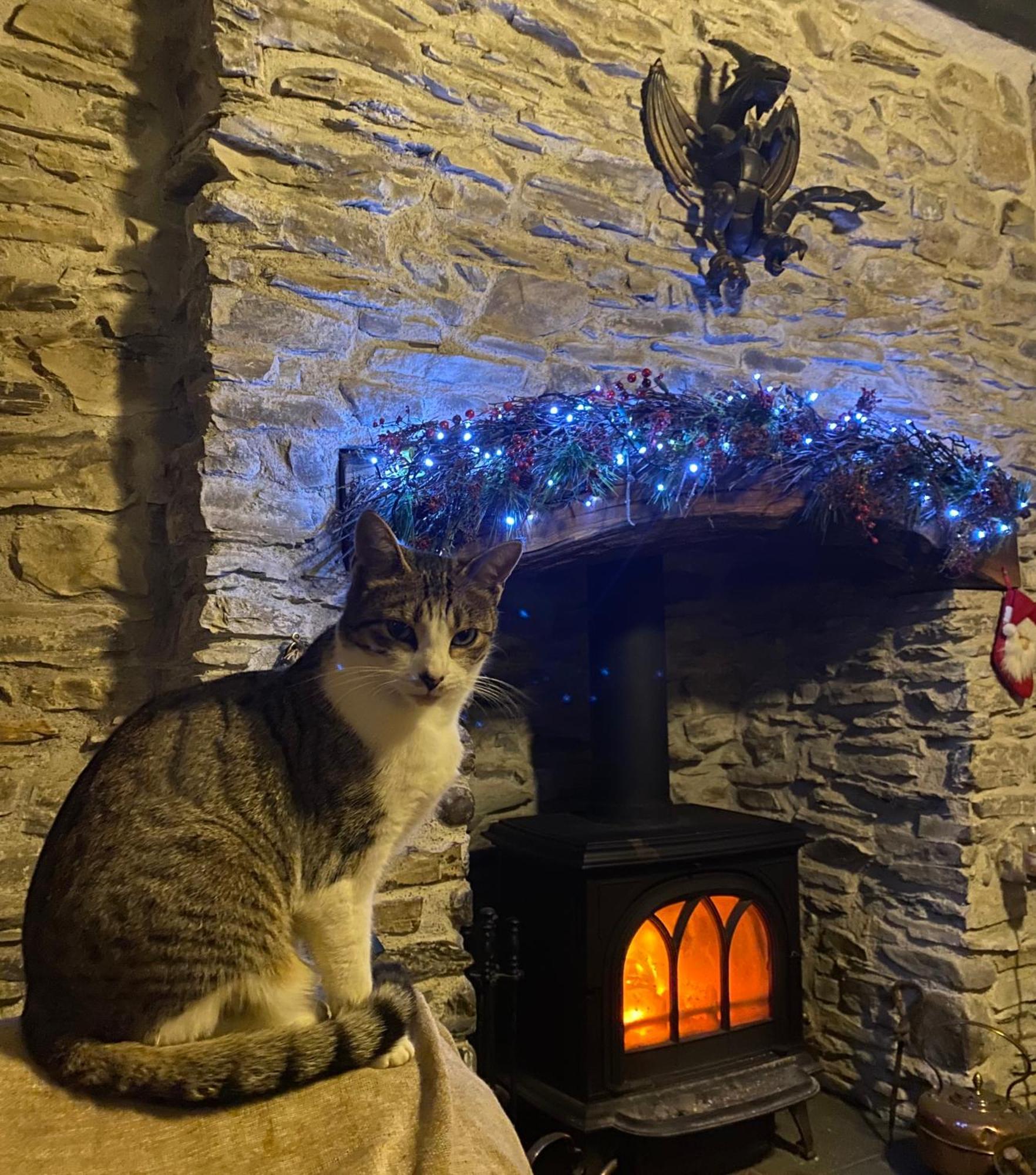 Five Saints Farmhouse B&B Pumpsaint エクステリア 写真