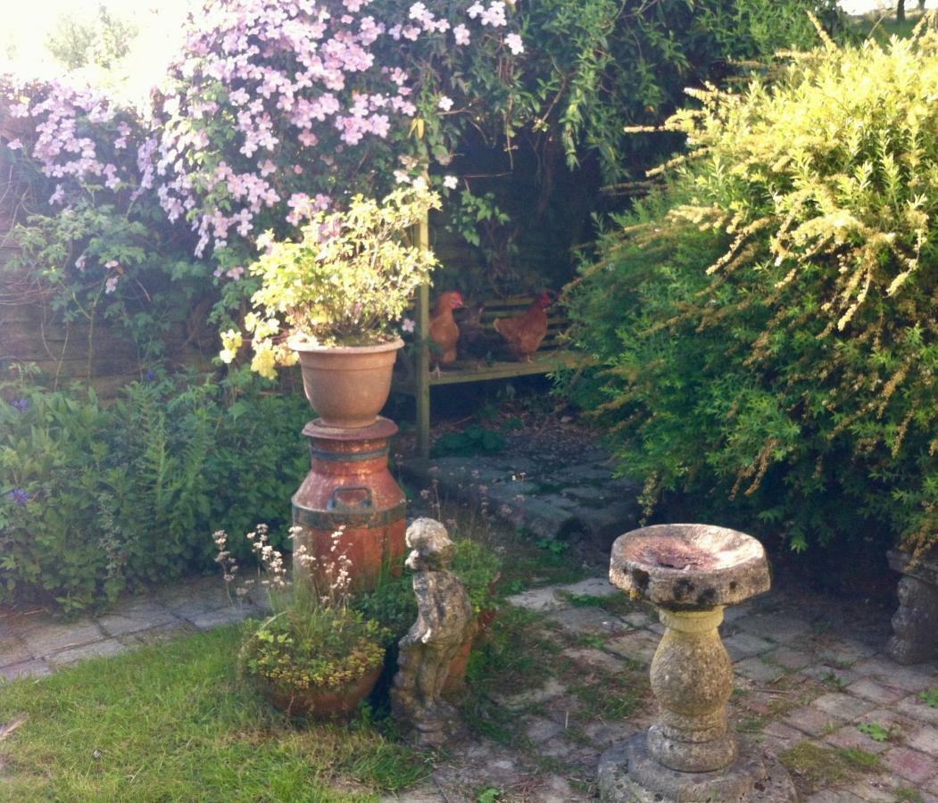 Five Saints Farmhouse B&B Pumpsaint エクステリア 写真